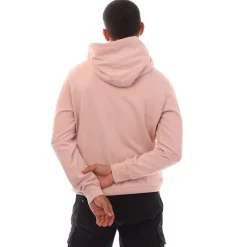 Hoodies*Ralph Lauren Loopback Fleece Hoodie in Rose