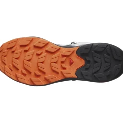 Outdoor Footwear|Boots*Salomon Mens Elixir Activ Mid GorE-Tex Walking Shoe in Grey
