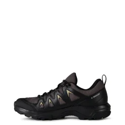 Outdoor Footwear|Shoes*Salomon Mens X Braze GorE-Tex Walking Shoe in Grey