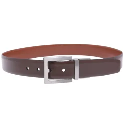 Belts*Ted Baker Reversible Fix Belt in Brown