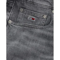 Jeans*Tommy Jeans Regular Str Bi0177 in Black
