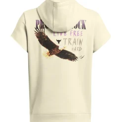 Hoodies*Under Armour Pr Icon Hoody in Brown