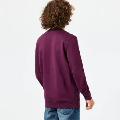 Sweatshirts*Weekend Offender Warwick Crewneck Sweatshirt in Berry